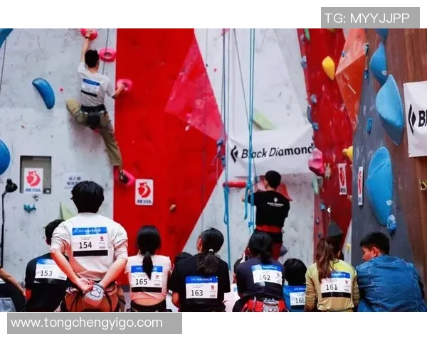 上海攀岩队比赛经验分析与数据表现探讨及提升策略研究